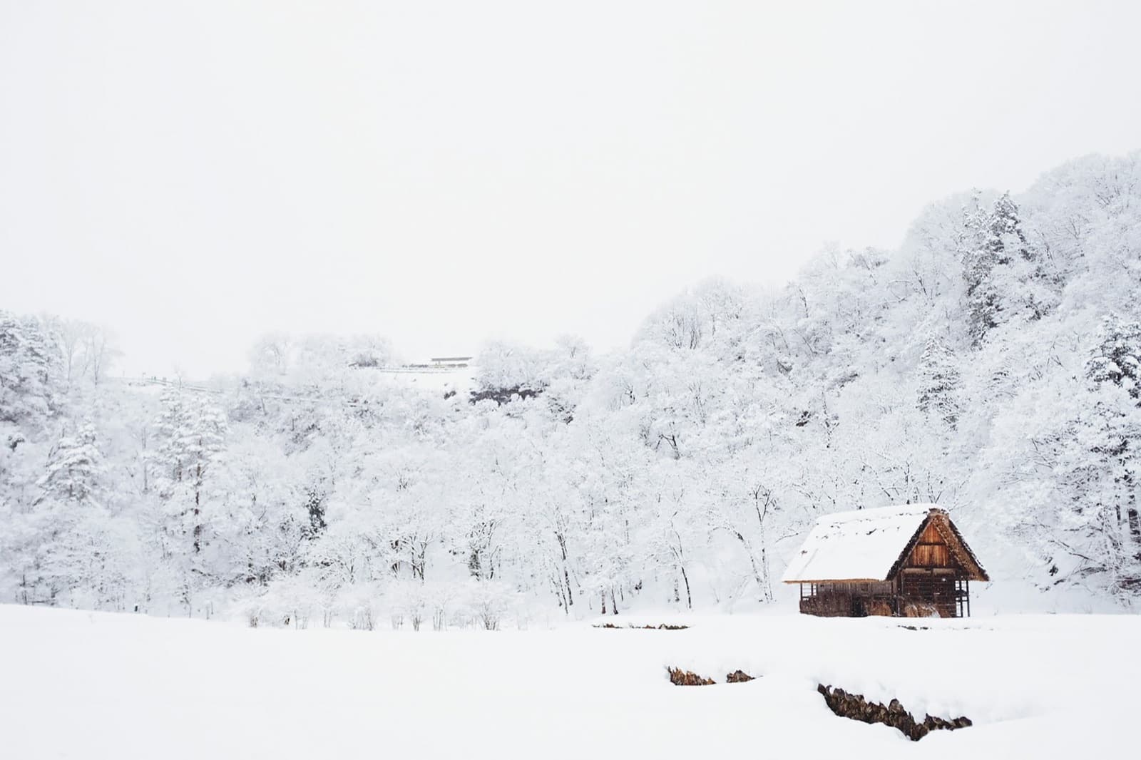 雪に覆われた小屋と森