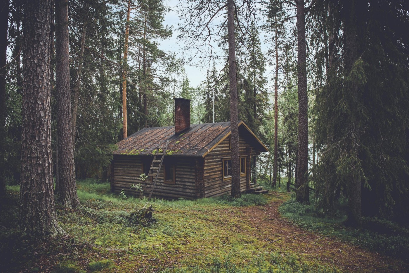 森の中の木造の小屋